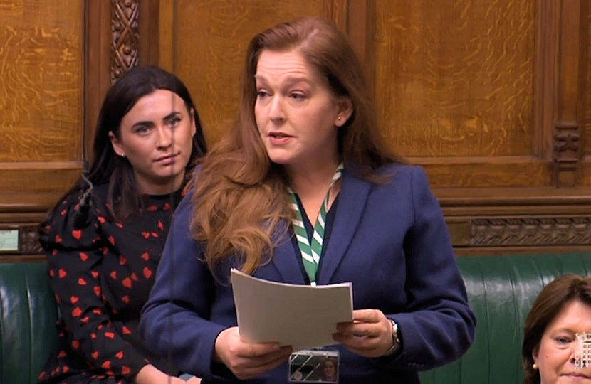 Jane Makes Maiden Speech In Commons Jane Stevenson